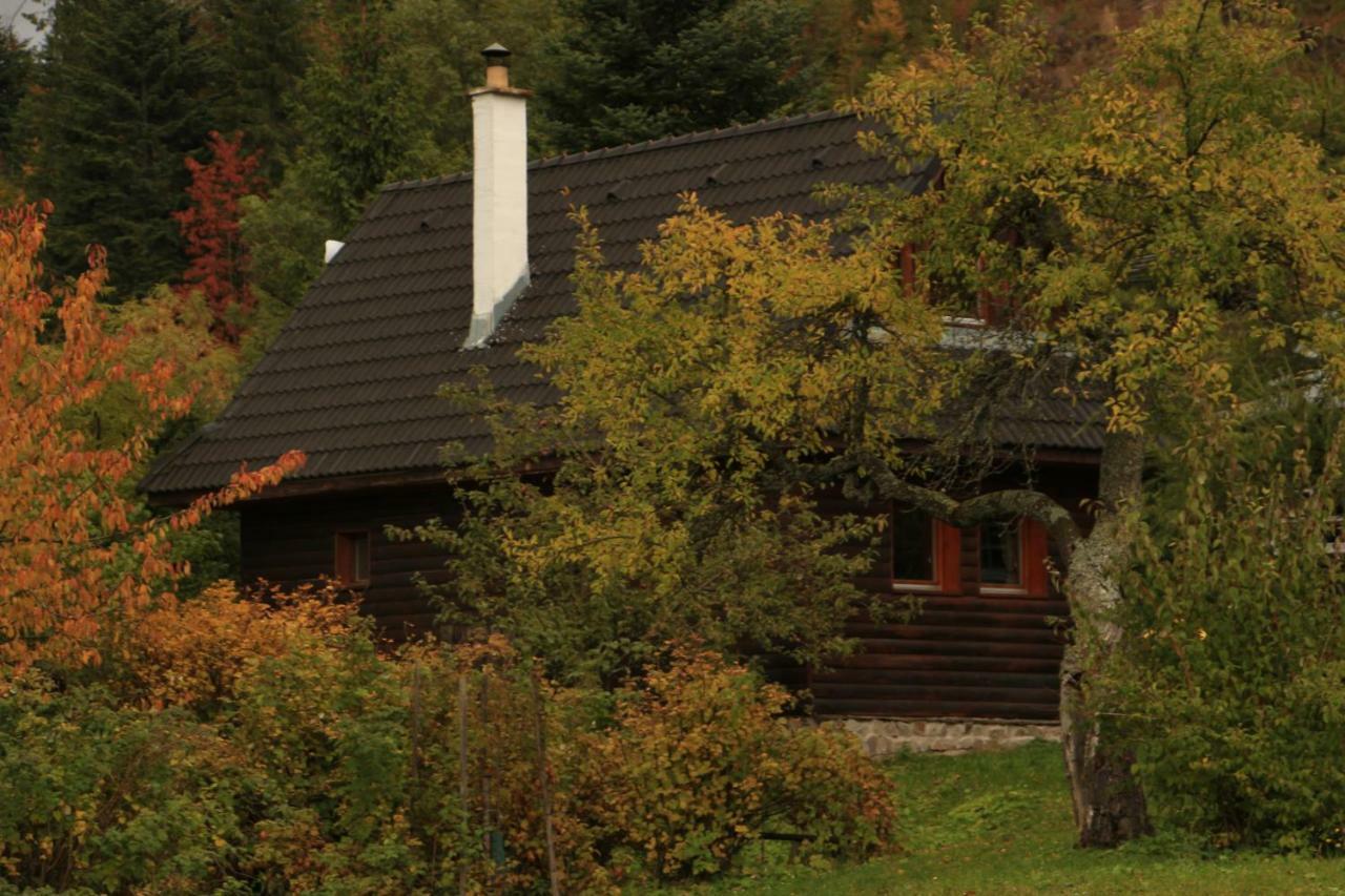 Chata Donovaly Buly 242/C Zewnętrze zdjęcie